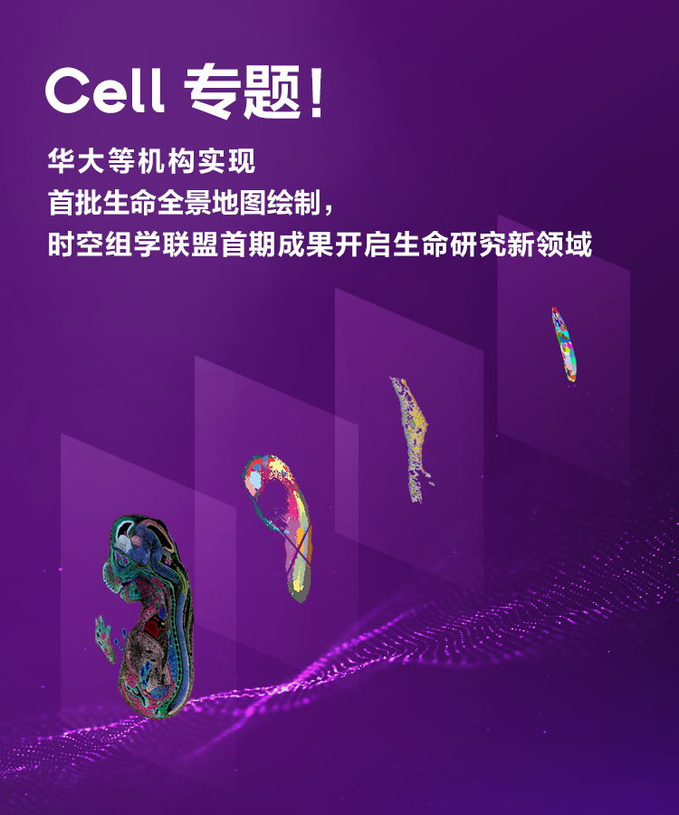 集团官网新闻banner-移动CN.png
