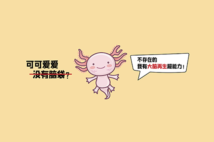 官网尺寸.jpg