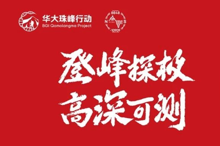 官网（文章）.png