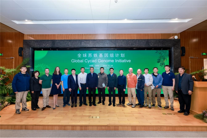 20241119-“全球苏铁基因组计划”新闻稿(20241120)363.png