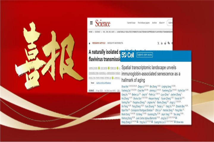 公众号头图_01(2).jpg