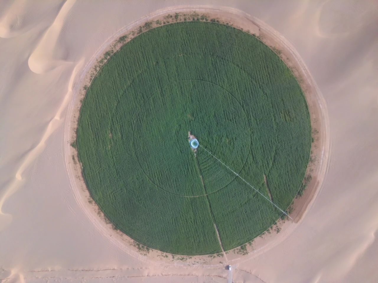 微信图片_20250304152722.jpg 微信图片_20250304152722.jpg