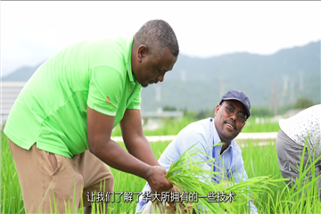 微信截图_20250604172750.png