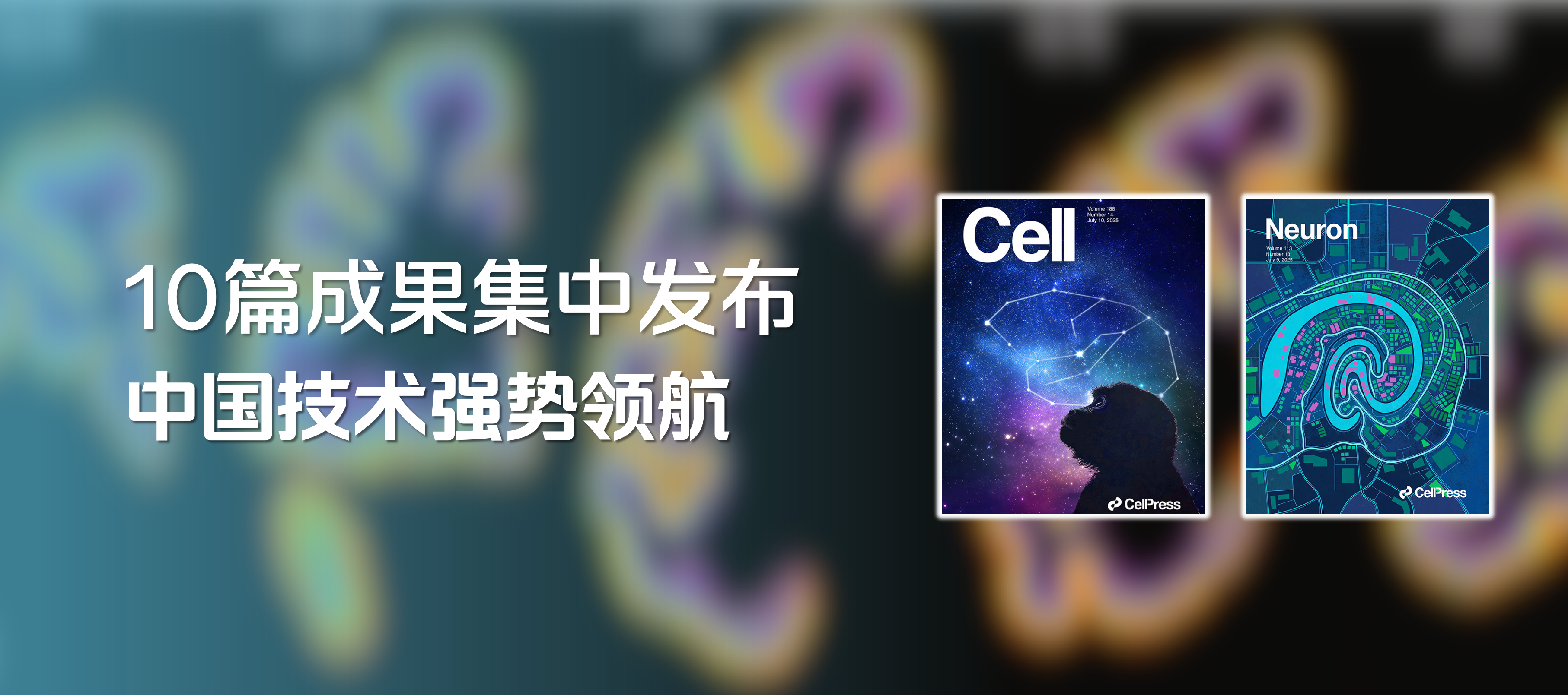 官网图片1.png