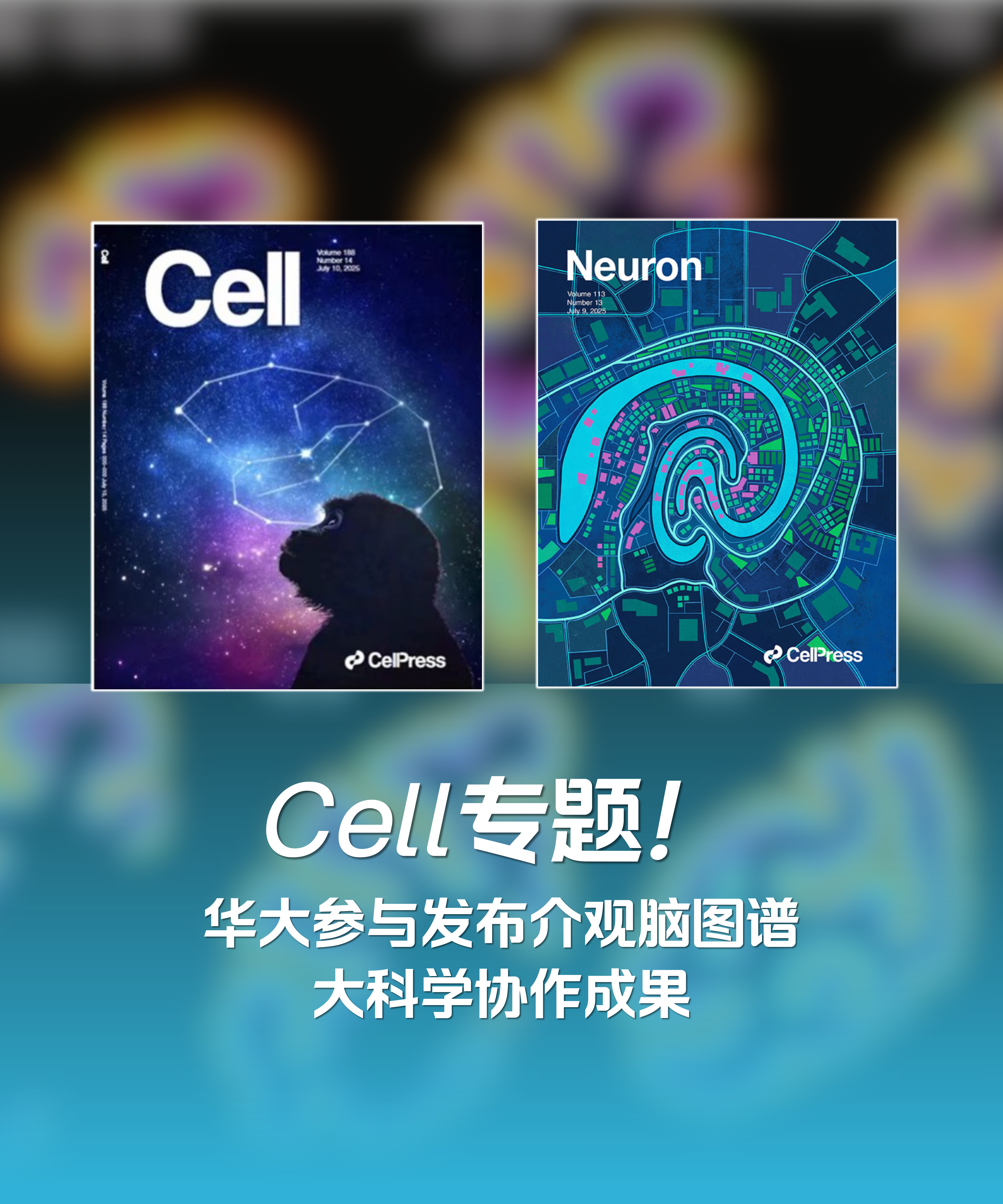 官网图片2.png