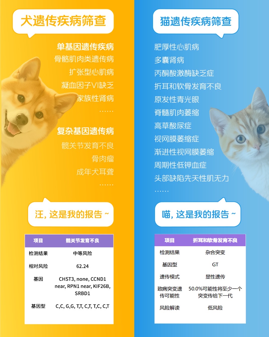微信图片_2025-07-23_174750_930.jpg