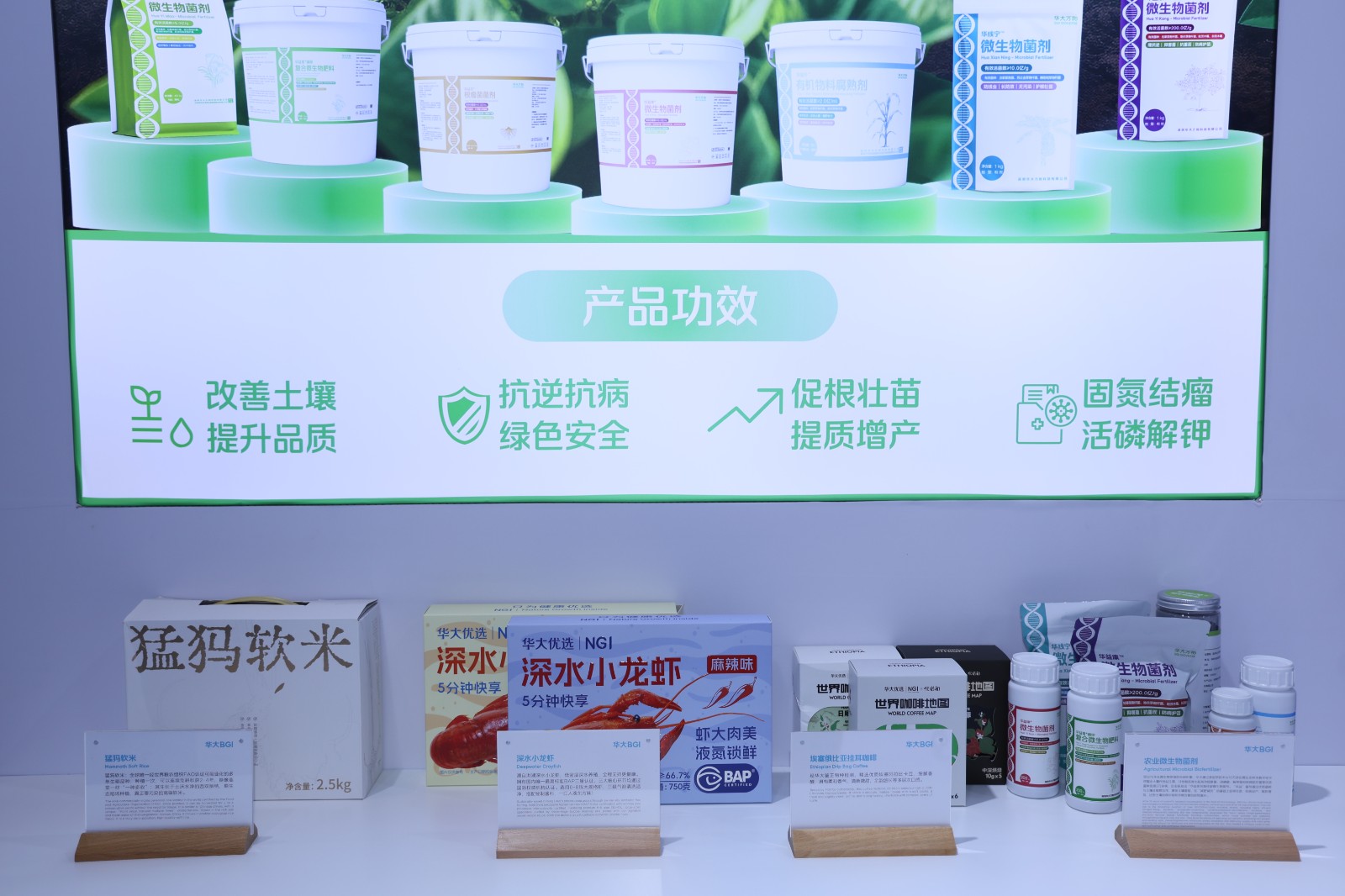 华大万物.JPG