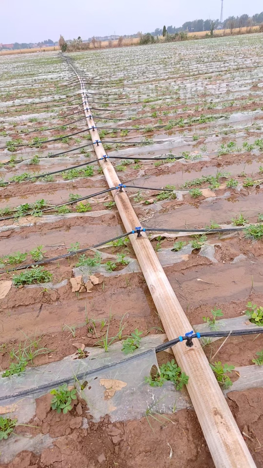 微信图片_2025-11-05_105036_152.jpg 微信图片_2025-11-05_105036_152.jpg