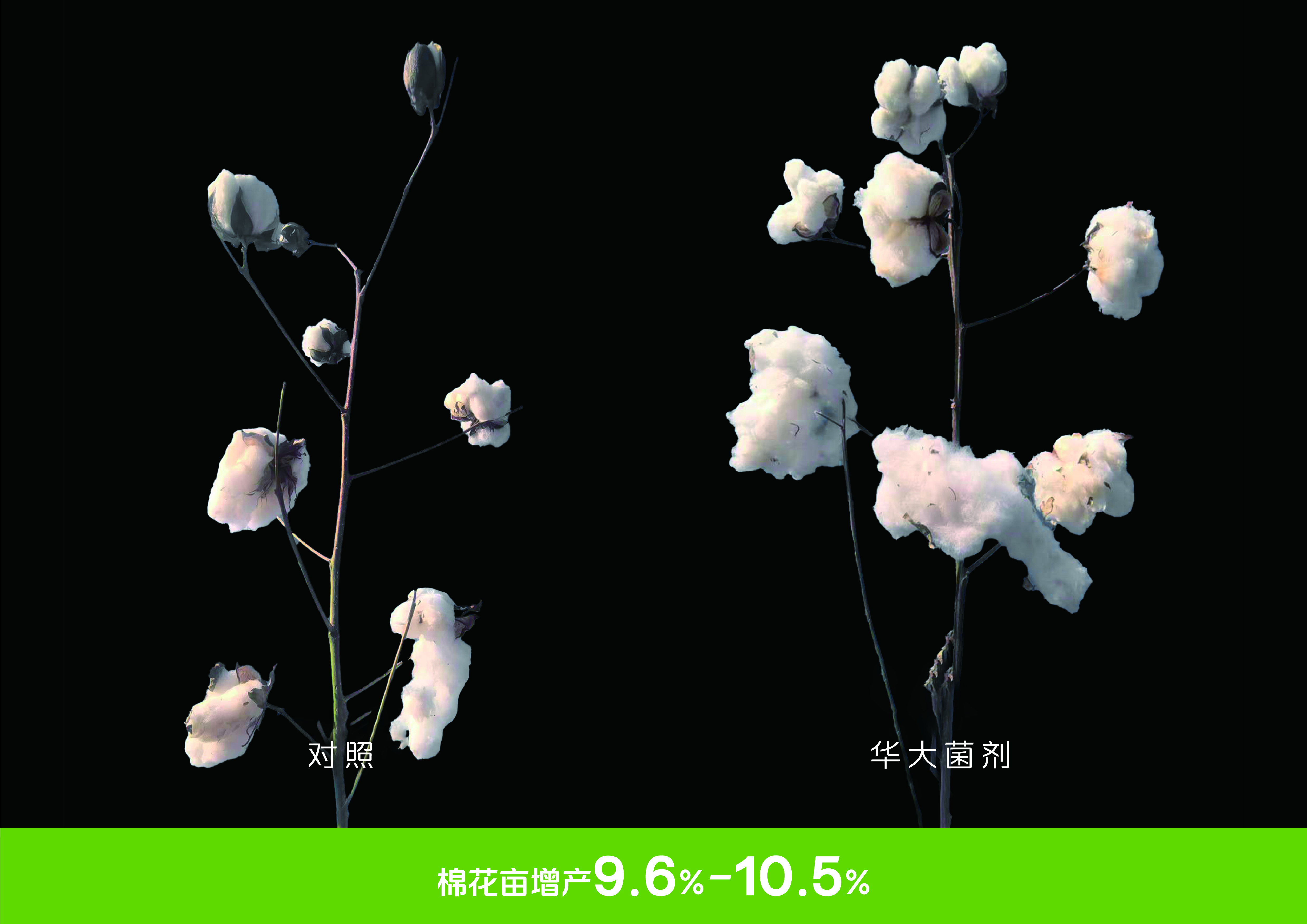 微信图片_20260923112039_3203_4.jpg