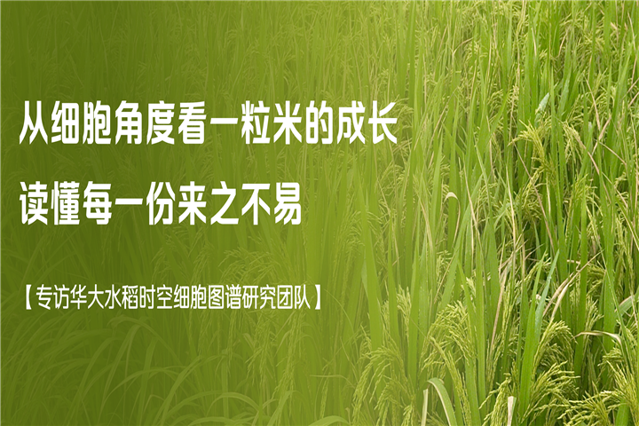 封面.png